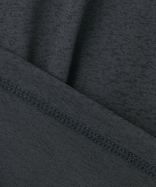 ANY / エニィ カットソー | 【洗濯機可/接触冷感】シアージョーゼットボクシーロゴＴ | 詳細18