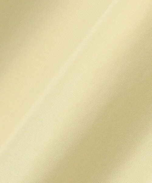 ANY / エニィ ミニ丈・ひざ丈ワンピース | 【洗濯機可/UVケア】スパンボイル撥水ワンピース | 詳細24