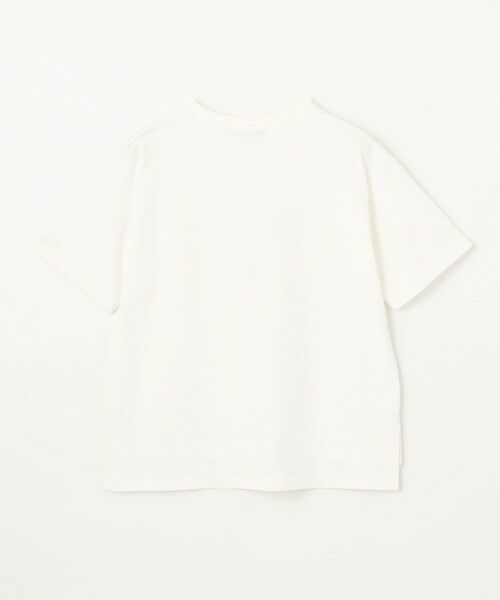 ANY / エニィ カットソー | 【洗濯機可/UVケア/接触冷感】半袖ロゴＴシャツ | 詳細19