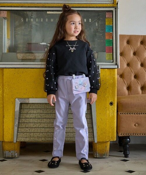 ANY / エニィ メッセンジャーバッグ・ウエストポーチ | シャラシャラ移動ポケット | 詳細1