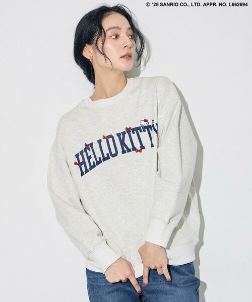 ANY/GjB yn[LeB×ANYzSXEFbg CgO[ F