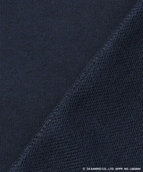 ANY / エニィ スウェット | 【ハローキティ×ANY】ロゴスウェット | 詳細20