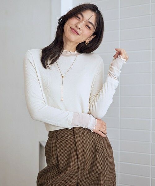 ANY / エニィ カットソー | 【新色追加】シアーコンビタートル | 詳細5