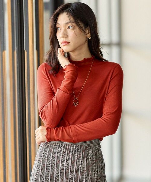 ANY / エニィ カットソー | 【新色追加】シアーコンビタートル | 詳細25