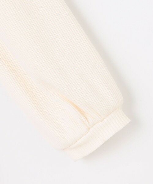 ANY / エニィ ロング・マキシ丈ワンピース | バレエ刺繍チュールワンピース | 詳細21