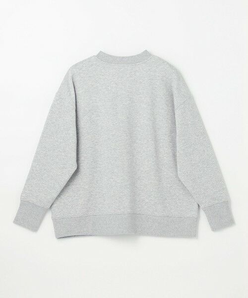 ANY / エニィ スウェット | ハーフジップスウェット | 詳細15