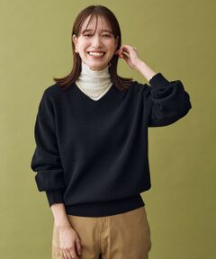 ANY / エニィ ニット・セーター | 【8色展開】Vネックデイリーニット