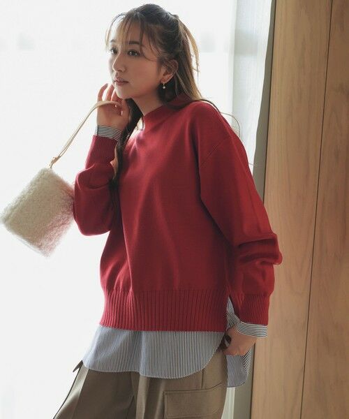 ANY / エニィ ニット・セーター | 【新色追加】ハイネックデイリーニット | 詳細6