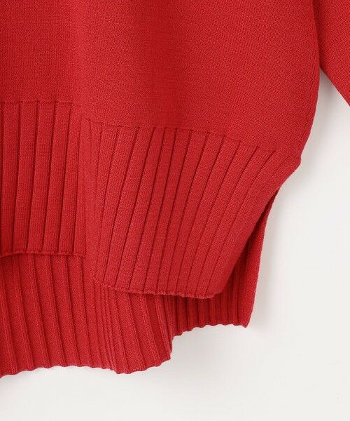 ANY / エニィ ニット・セーター | 【新色追加】ハイネックデイリーニット | 詳細16