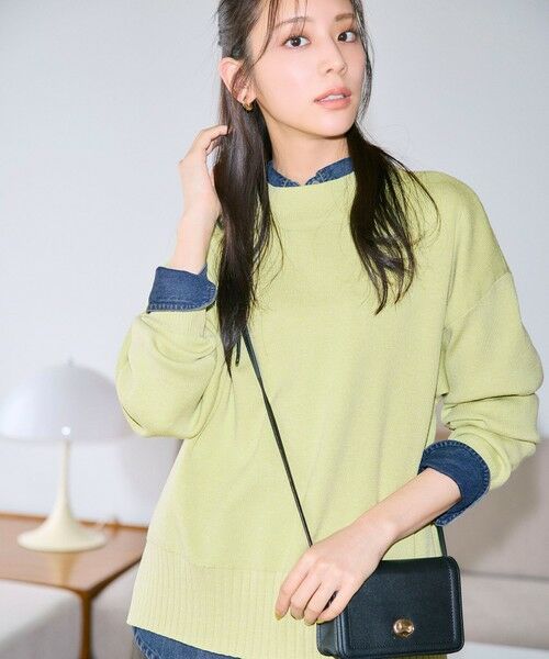 ANY / エニィ ニット・セーター | 【新色追加】ハイネックデイリーニット（ライム）
