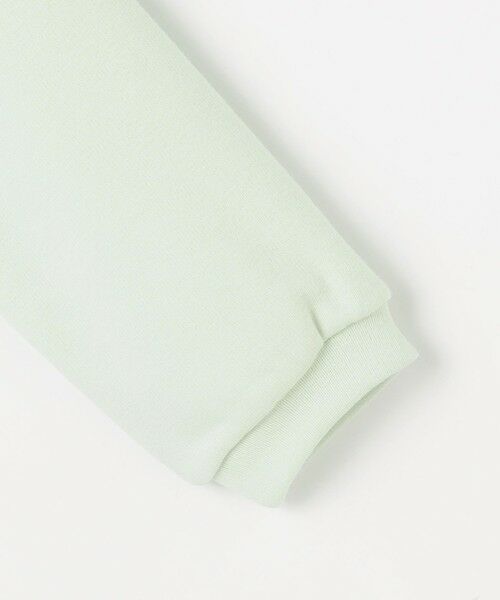 ANY / エニィ スウェット | アニマル刺繍 裏シャギー トレーナー | 詳細17