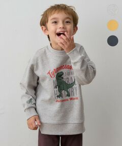 ANY / エニィ スウェット | 恐竜プリント 裏毛トレーナー