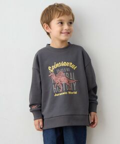 ANY / エニィ スウェット | 恐竜プリント 裏毛トレーナー