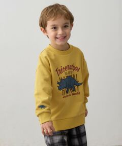 ANY / エニィ スウェット | 恐竜プリント 裏毛トレーナー