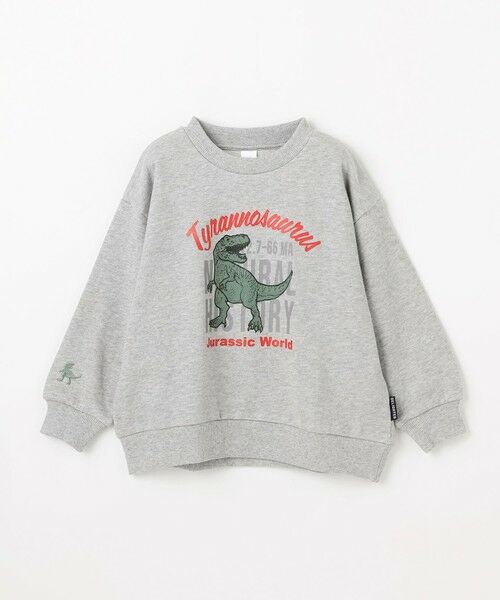 ANY / エニィ スウェット | 恐竜プリント 裏毛トレーナー | 詳細4