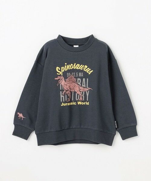 ANY / エニィ スウェット | 恐竜プリント 裏毛トレーナー | 詳細10