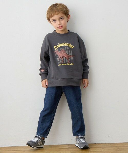 ANY / エニィ スウェット | 恐竜プリント 裏毛トレーナー | 詳細8