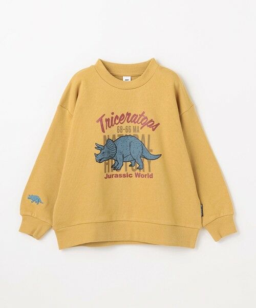 ANY / エニィ スウェット | 恐竜プリント 裏毛トレーナー | 詳細14