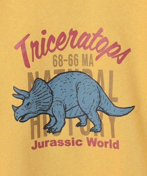 ANY / エニィ スウェット | 恐竜プリント 裏毛トレーナー | 詳細16