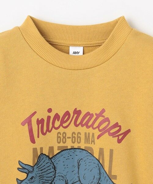 ANY / エニィ スウェット | 恐竜プリント 裏毛トレーナー | 詳細17