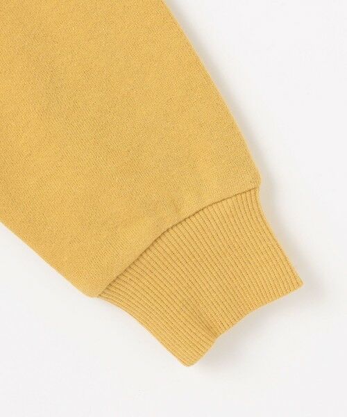 ANY / エニィ スウェット | 恐竜プリント 裏毛トレーナー | 詳細18