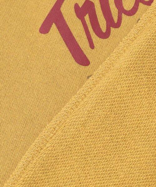 ANY / エニィ スウェット | 恐竜プリント 裏毛トレーナー | 詳細21