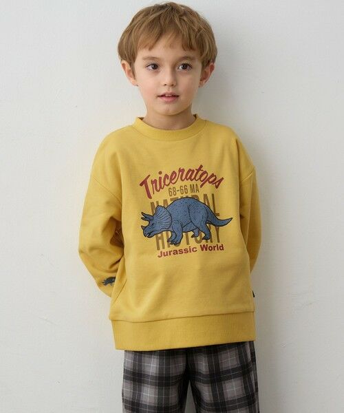 ANY / エニィ スウェット | 恐竜プリント 裏毛トレーナー | 詳細11