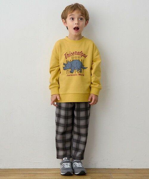 ANY / エニィ スウェット | 恐竜プリント 裏毛トレーナー | 詳細12
