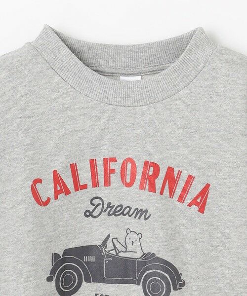 ANY / エニィ スウェット | アニマルプリント 裏毛トレーナー | 詳細8