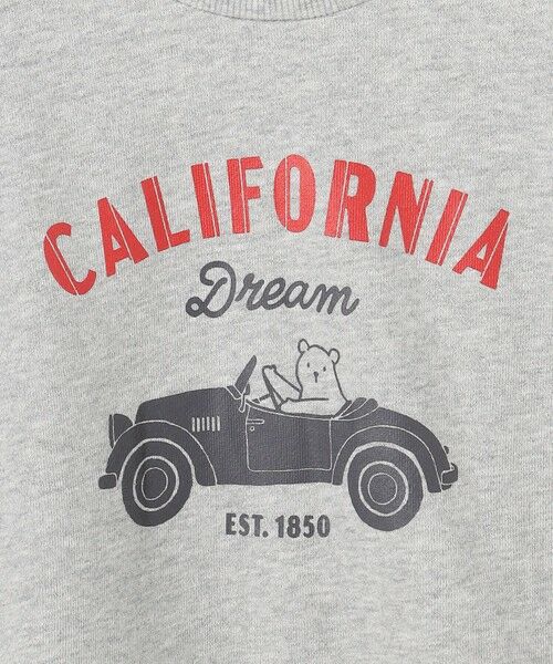 ANY / エニィ スウェット | アニマルプリント 裏毛トレーナー | 詳細9