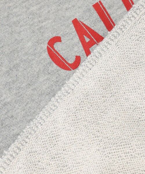 ANY / エニィ スウェット | アニマルプリント 裏毛トレーナー | 詳細12