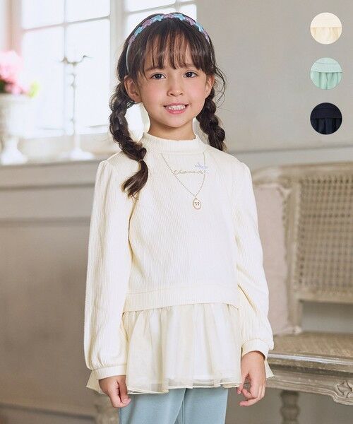 ANY/GjB N lbNX g[i[ zCg 110