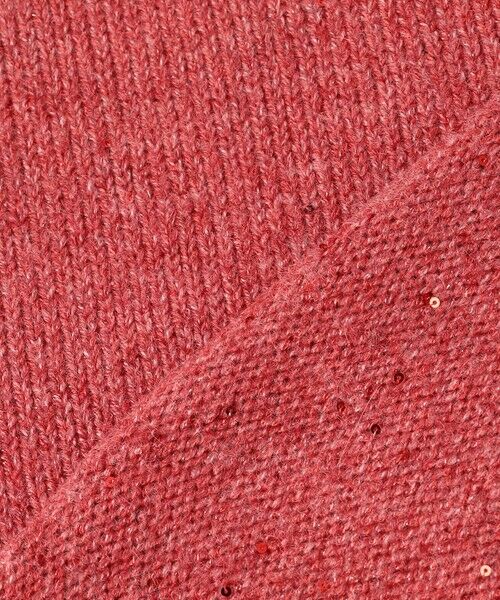 ANY / エニィ ニット・セーター | スパンコールニット | 詳細24