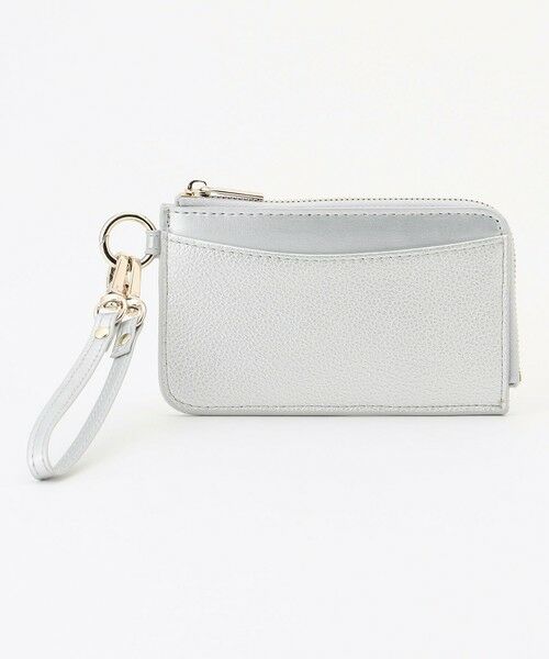 ANY / エニィ その他 | カラビナ付フラグメントケース（シルバー）
