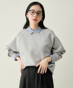 ANY / エニィ スウェット | ダンボールバックリブプルオーバー