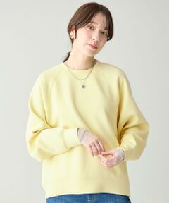 ANY / エニィ スウェット | ダンボールバックリブプルオーバー