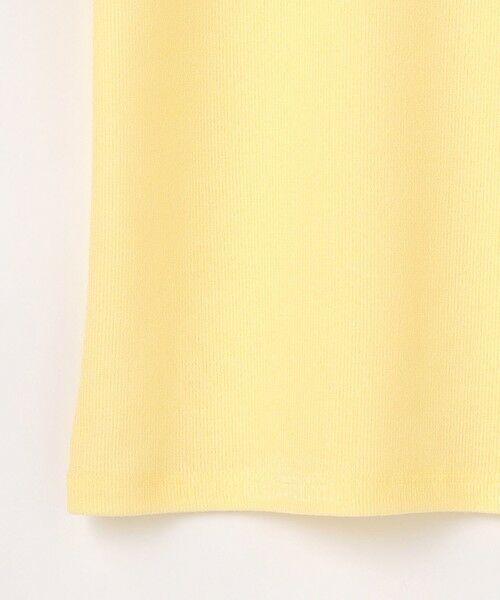 ANY / エニィ カットソー | クリアラメフライスヘンリーネックプルオーバー | 詳細30