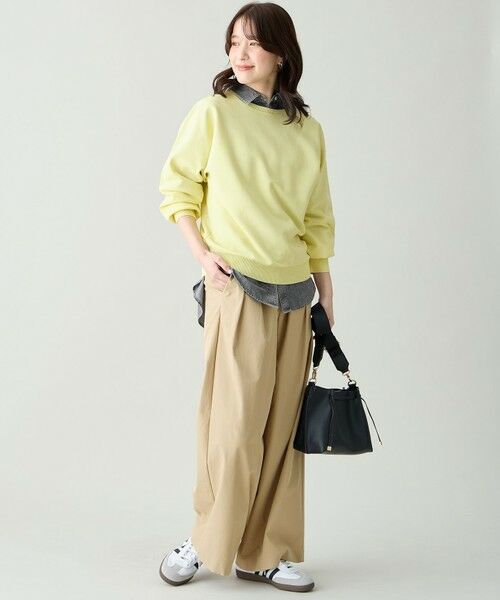ANY / エニィ ニット・セーター | スプリングカラーニットドルマンプルオーバー | 詳細14