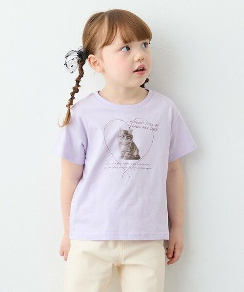 ANY / エニィ カットソー | 【一部店舗/WEB限定】【綿100%】プリント 半袖Tシャツ(ラベンダー×ネコ)