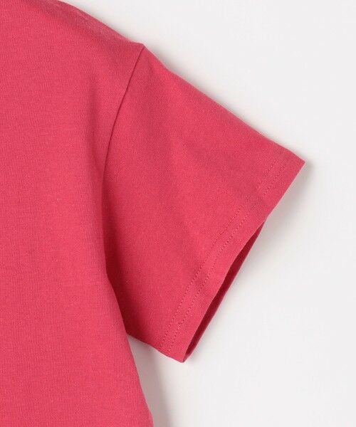 ANY / エニィ カットソー | 【一部店舗/WEB限定】【綿100%】プリント 半袖Tシャツ | 詳細21