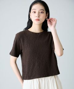 ANY / エニィ カットソー | レースショート丈Tシャツ