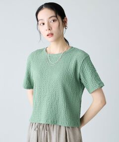 ANY / エニィ カットソー | レースショート丈Tシャツ