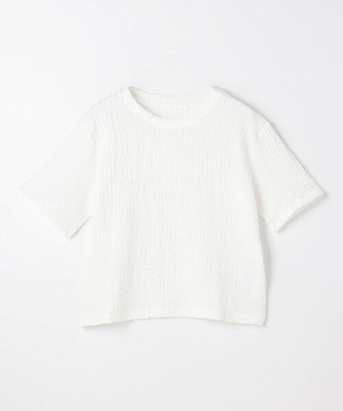 ANY / エニィ カットソー | レースショート丈Tシャツ | 詳細8