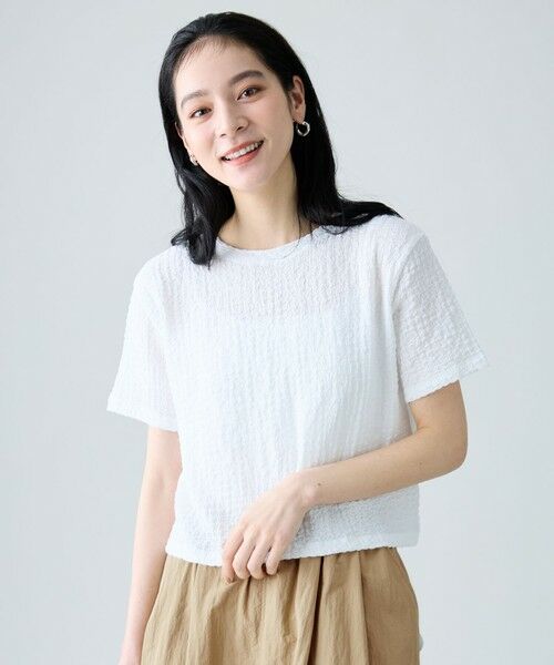 ANY / エニィ カットソー | レースショート丈Tシャツ（オフ）