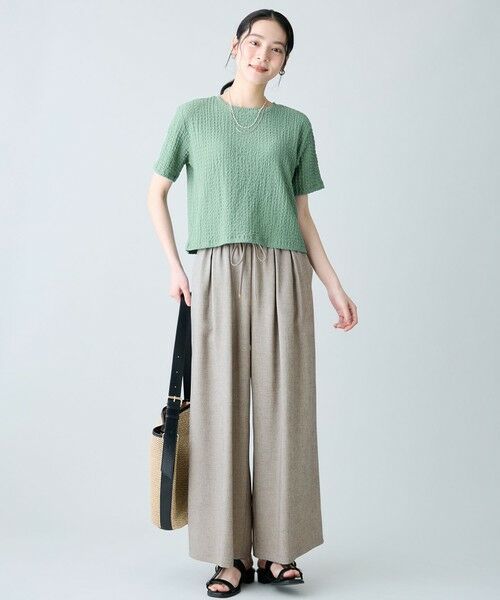 ANY / エニィ カットソー | レースショート丈Tシャツ | 詳細14