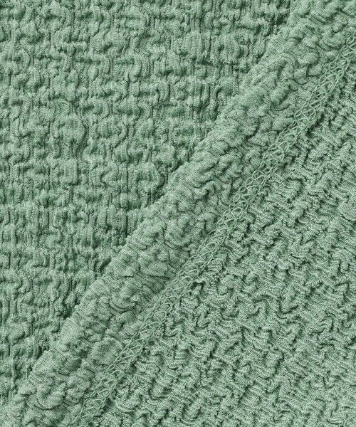 ANY / エニィ カットソー | レースショート丈Tシャツ | 詳細20