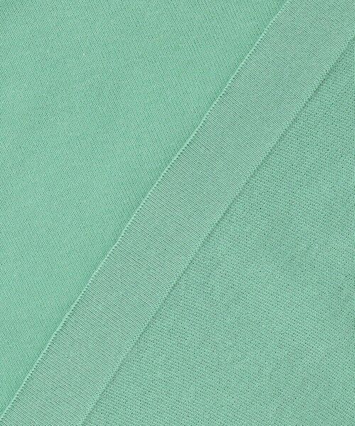 ANY / エニィ ニット・セーター | シアーシャーリングスリーブニット | 詳細19