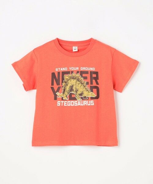 ANY / エニィ カットソー | 【洗濯機可能】恐竜プリント 半袖Tシャツ | 詳細9