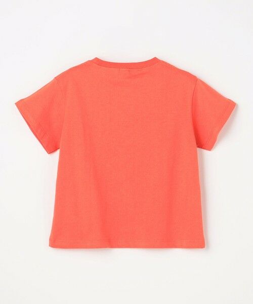 ANY / エニィ カットソー | 【洗濯機可能】恐竜プリント 半袖Tシャツ | 詳細11