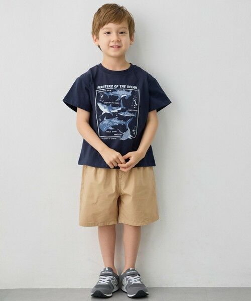ANY / エニィ カットソー | 【洗濯機可能】サメプリント 半袖Tシャツ | 詳細8